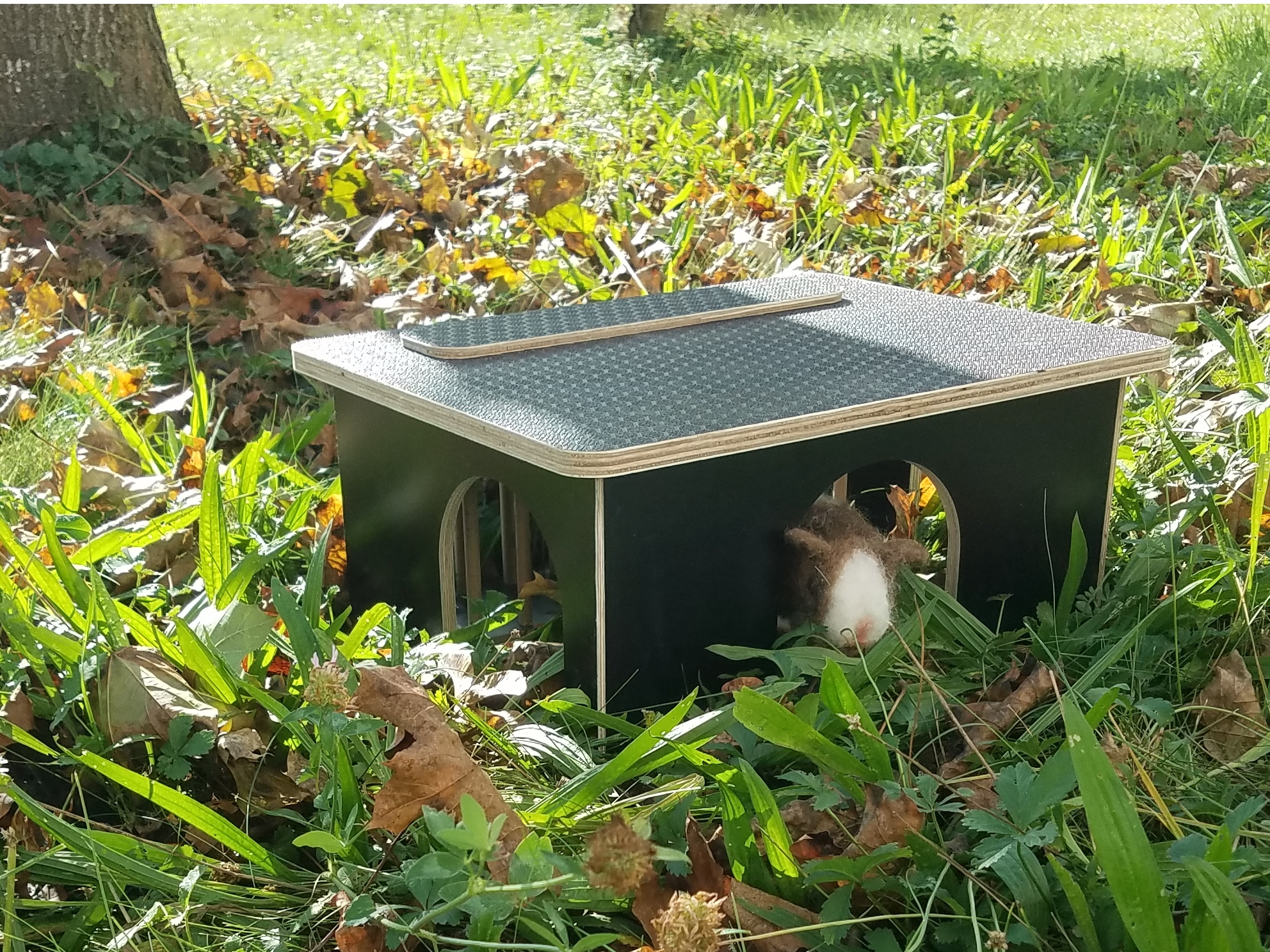 Schweinchenscheune wetterbeständig