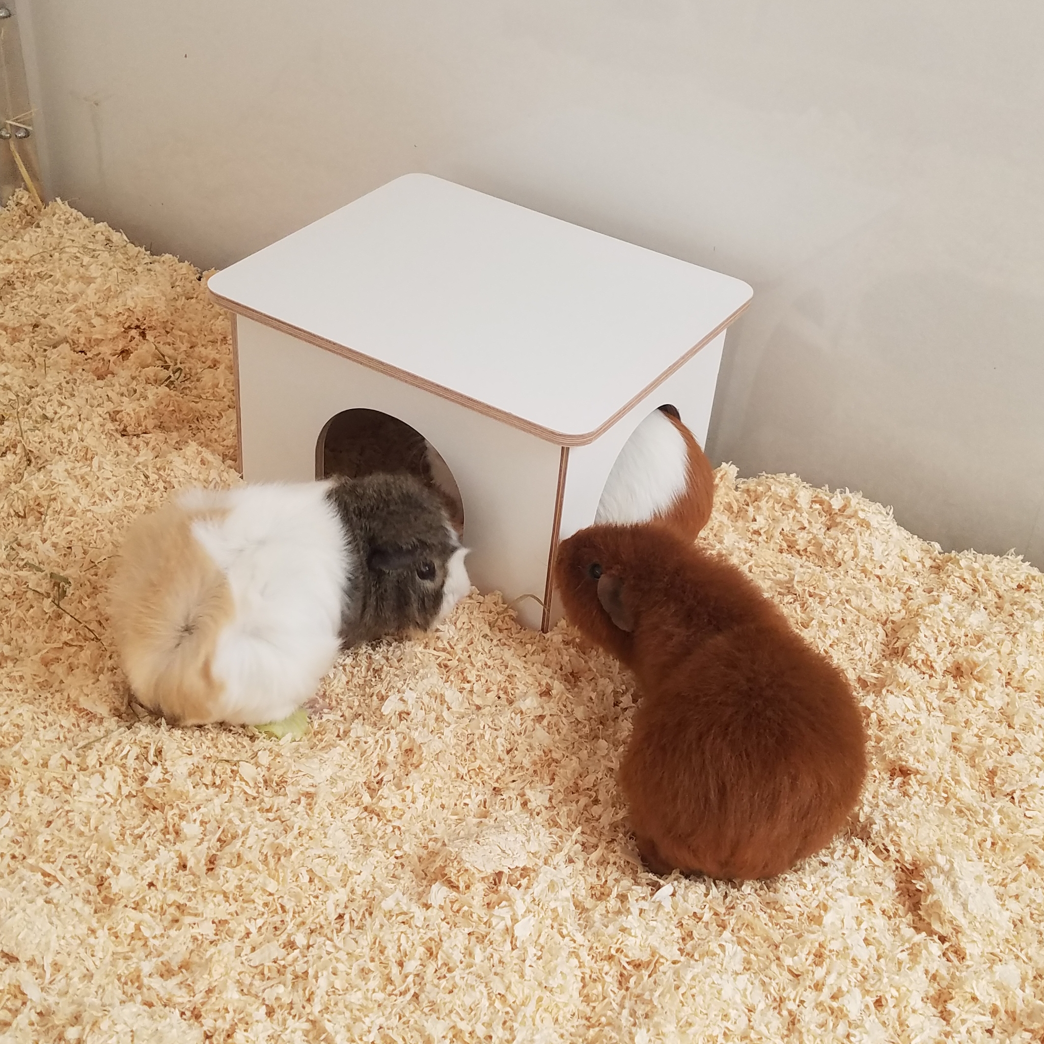 Häuschen Mini Eck White Line