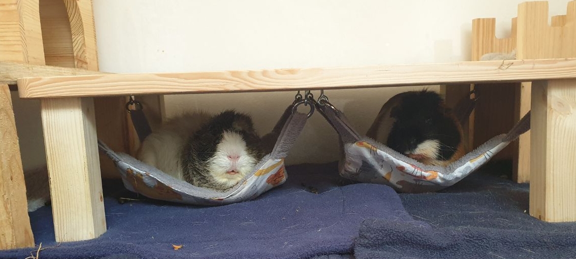 Doppelhängemattengestell